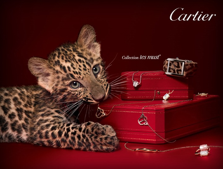 cartier panthere ad